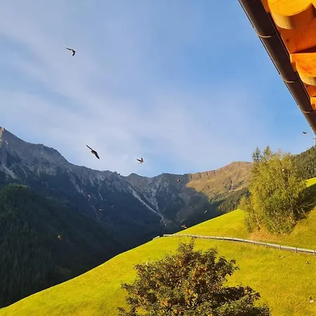 Gasserhof Apartment Campo di Trens
